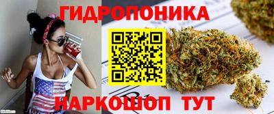 a pvp Северобайкальск
