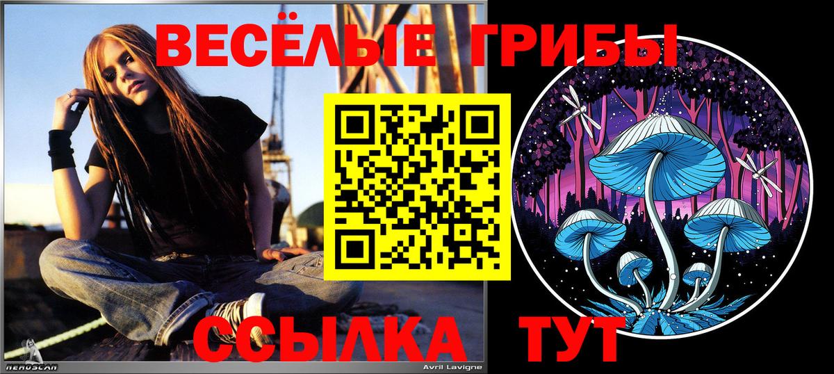 Подольск  Галлюциногенные грибы прущие грибы  Вход с VPN  Галлюциногенные грибы MAGIC MUSHROOMS 