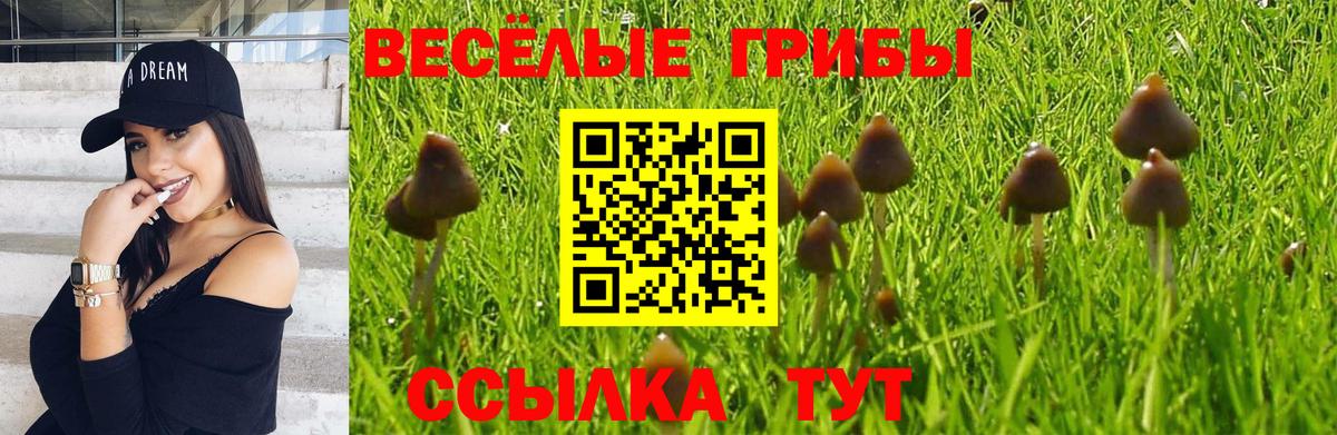 Псилоцибиновые грибы Magic Shrooms Подольск