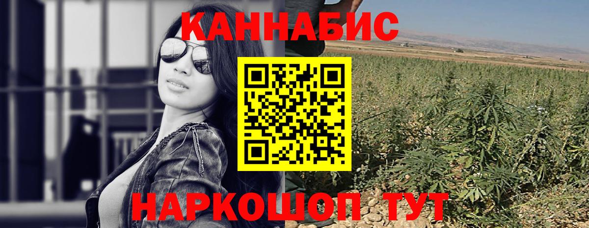 Бошки Шишки планчик Подольск
